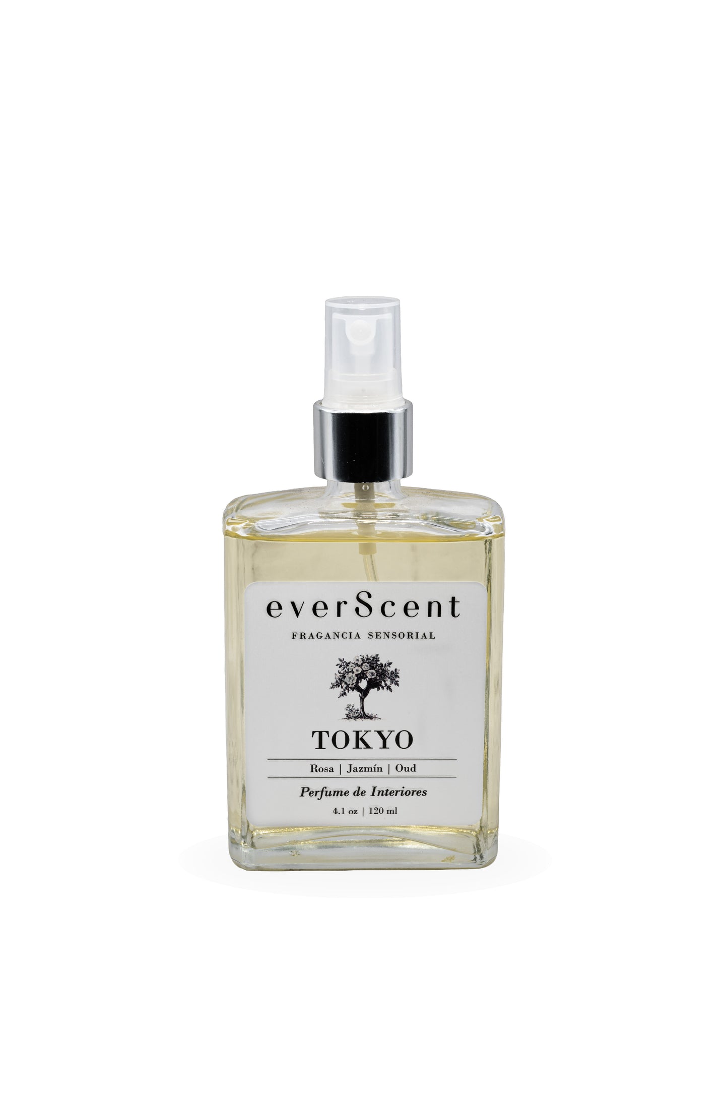 Travel Trio Set
